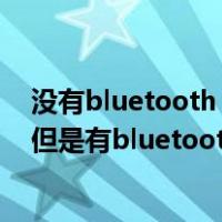 没有bluetooth service服务（bluetooth service没有了 但是有bluetooth support service）
