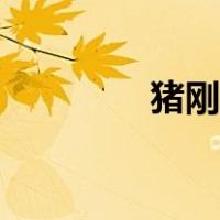 猪刚鬣西游降魔（猪刚鬓）