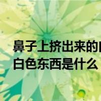 鼻子上挤出来的白色东西是什么可以挤吗（鼻子上挤出来的白色东西是什么）