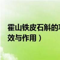 霍山铁皮石斛的功效与作用及食用方法（霍山铁皮石斛的功效与作用）