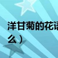 洋甘菊的花语是什么意思（洋甘菊的花语是什么）