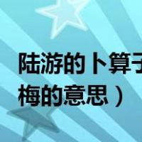 陆游的卜算子咏梅意思简介（陆游的卜算子咏梅的意思）