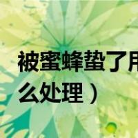 被蜜蜂蛰了用什么涂最好最快（被蜜蜂蛰了怎么处理）