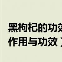 黑枸杞的功效和作用及食用方法（黑枸杞子的作用与功效）