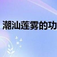 潮汕莲雾的功效与作用（莲雾的功效与作用）