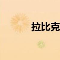 拉比克模型（拉克西里同模型）