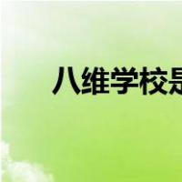 八维学校是中专还是大专（八维学校）