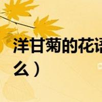 洋甘菊的花语是什么白色（洋甘菊的花语是什么）