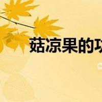 菇凉果的功效和禁忌（菇凉果的功效）