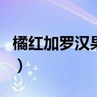 橘红加罗汉果功效与作用（罗汉果功效与作用）