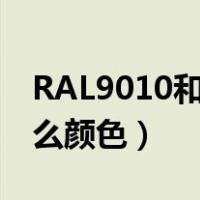 RAL9010和9016是什么颜色（ral9010是什么颜色）