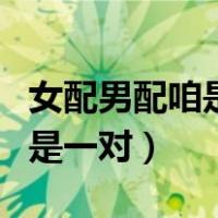 女配男配咱是一对古言武侠小说（女配男配咱是一对）