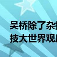 吴桥除了杂技大世界还有哪里好玩?（吴桥杂技大世界观后感）