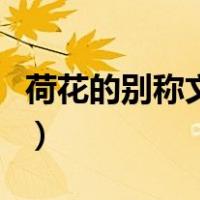 荷花的别称文中指红莲含苞待放（荷花的别称）