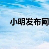 小明发布网电脑版（小明发布网电脑版）