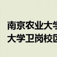 南京农业大学卫岗校区有哪些专业（南京农业大学卫岗校区）