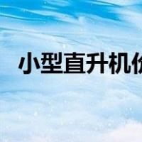 小型直升机价格及图片（小型直升机价格）
