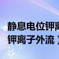 静息电位钾离子外流是主动运输吗（静息电位钾离子外流）