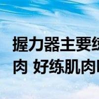 握力器主要练哪里的肌肉（握力器练哪里的肌肉 好练肌肉吗）