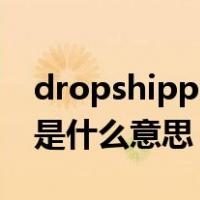 dropshipping中文叫什么（dropshipping是什么意思）