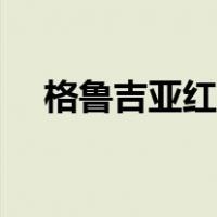 格鲁吉亚红酒什么档次（格鲁吉亚红酒）