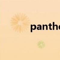 panther避孕套 3L（panther）