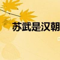 苏武是汉朝的吗（汉朝苏武的儿子通国）