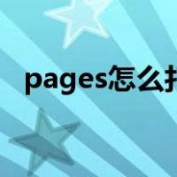 pages怎么打开文件（pages文件阅读器）