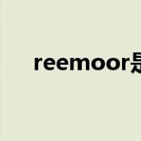 reemoor是什么档次的鞋（reemoor）