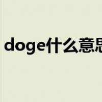 doge什么意思（doge是什么意思网络用语）