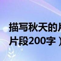 描写秋天的片段200字左右拟人（描写秋天的片段200字）