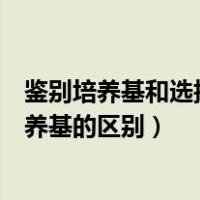 鉴别培养基和选择培养基有什么区别（鉴别培养基与选择培养基的区别）