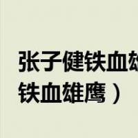 张子健铁血雄鹰全集在线观看（张子健电视剧铁血雄鹰）