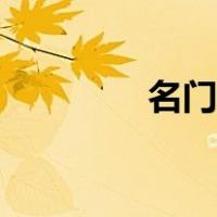 名门之后小说（名门之后）