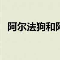 阿尔法狗和阿尔法狗（阿尔法狗长什么样）