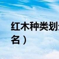 红木种类划分及排名（红木种类 红木种类排名）