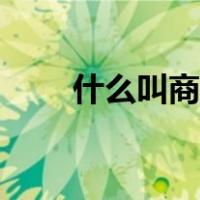什么叫商务总监（什么是商务总监）