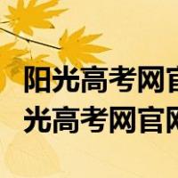 阳光高考网官方网江苏省教育考试院（江苏阳光高考网官网）