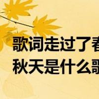 歌词走过了春天走过了秋天（走过了春天走过秋天是什么歌）