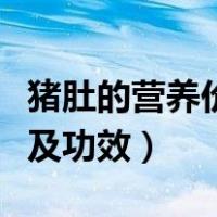 猪肚的营养价值及功效作用（猪肚的营养价值及功效）