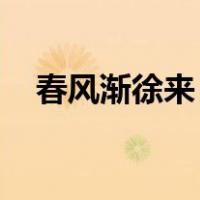 春风渐徐来 林娟（春风渐徐来林娟小说）