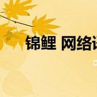 锦鲤 网络语（网络语锦鲤是什么意思）