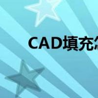 CAD填充怎么填充（cad填充怎么用）