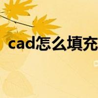 cad怎么填充某个区域图案（cad怎么填充）