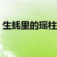 生蚝里的瑶柱是什么东西（瑶柱是什么东西）