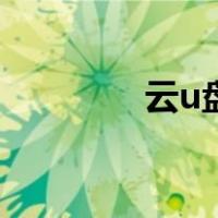云u盘是什么东西（云u盘）