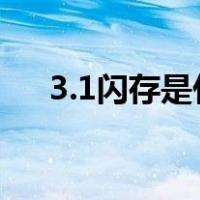 3.1闪存是什么意思（闪存是什么意思）