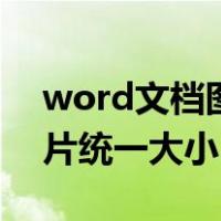 word文档图片统一大小格式（word文档图片统一大小）