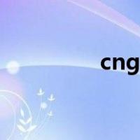 cng的意思（cng啥意思）