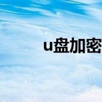 u盘加密慢是怎么回事（u盘加密）